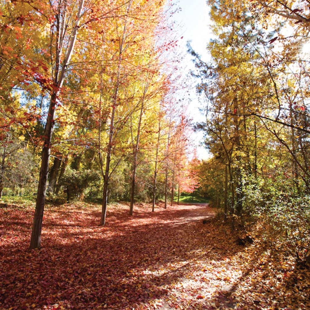 Lagoon Trail, Davis County